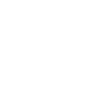 Domestic Landscape Srl